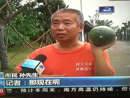 吃瓜网热门事件焕,揭秘热门事件背后的真相与争议