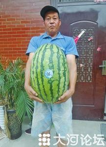 51每日大赛吃瓜网,吃瓜网带你领略电竞盛宴