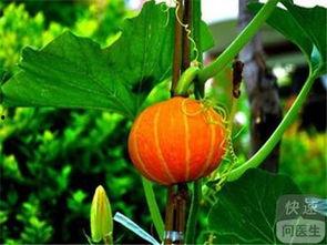 吃瓜网s,带你领略网络舆论的狂欢盛宴