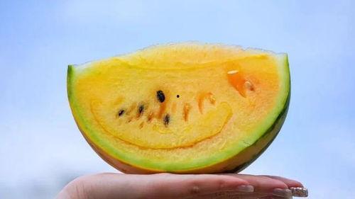 吃瓜网云南小,揭秘吃瓜网上的神秘网红