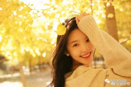 吃瓜爆料网红珍妮,吃瓜爆料背后的故事与真相