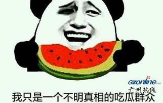 吃瓜群众有哪些网红,盘点当下热门网红风云录