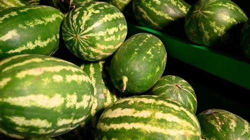 西安吃瓜网红事件,一场网络舆论的风暴与反思