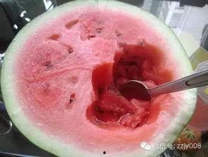 吃瓜勺子 网红,揭秘网红背后的故事