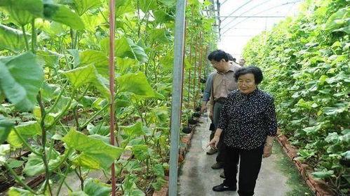 网曝12点顶流吃瓜,12点顶流明星集体“吃瓜”，幕后真相令人震惊