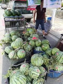 商洛网红吃瓜事件,揭秘网络舆论的风云变幻