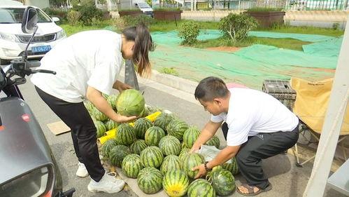 15吃瓜官网,揭秘娱乐圈最新热点，带你畅游八卦海洋