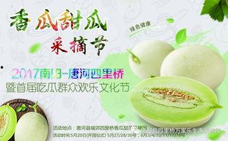 网红大咖与吃瓜群众,网络时代的互动与影响