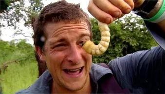 网红酒店吸食笑气吃瓜,网红酒店吸食事件背后的真相与反思