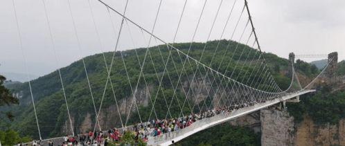 张家界网红吃瓜事件真相