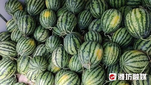 康县网红二饼吃瓜事件,揭秘网络红人的争议瞬间