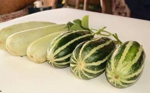 网红吃瓜免费分享,免费分享，畅享娱乐狂欢