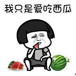 吃瓜网知一,揭秘人生百态，探寻人生真谛